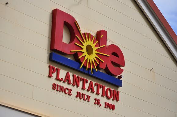 ハワイ食事 (3).JPG